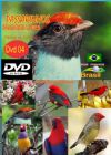 DVD 04 - P�ssaros Livres - Sons P�ssaros Brasil